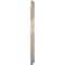 Ekena Millwork Berkshire PVC Medallion (Canopies up to 4 1/2"), 10"OD x 3 1/2"ID x 3/4"P, Metallic Mist CMP10BEEPE - alternate 5